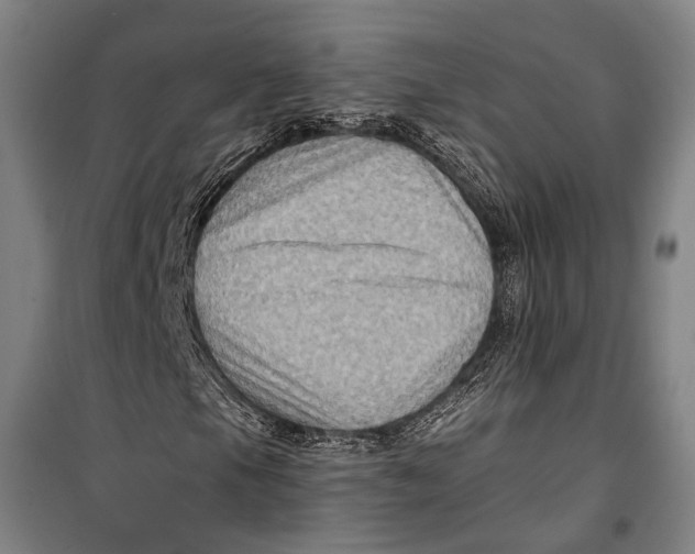 X0000099541105200806061448