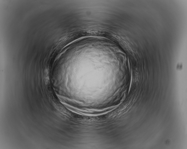 X0000099541106200806061448