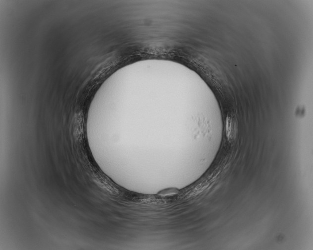 X0000099541107200806061448