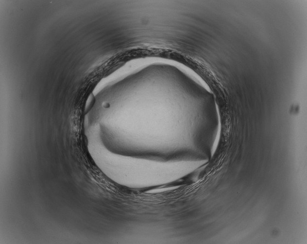 X0000099541110200806061448