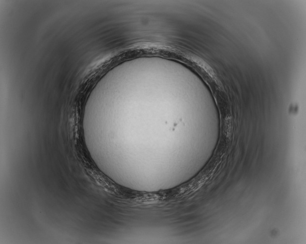 X0000099541111200806061448