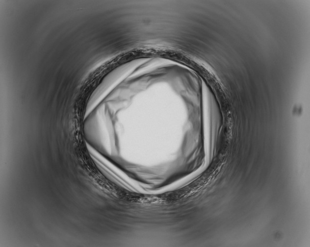 X0000099541112200806061448