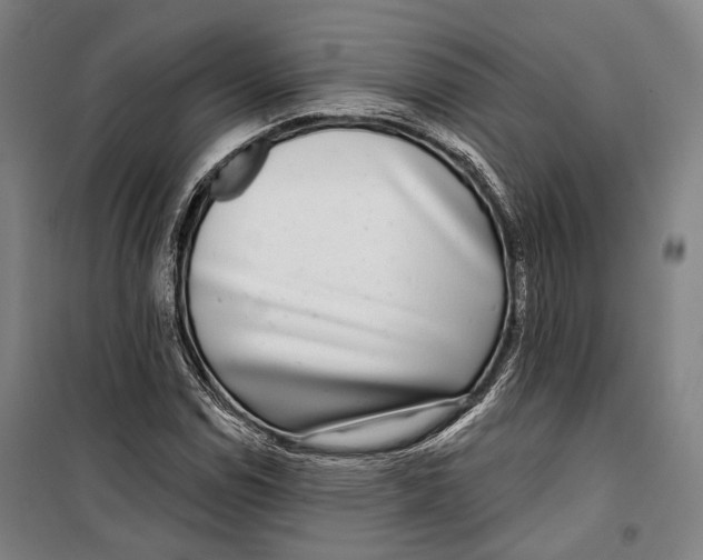 X0000099541114200806061448