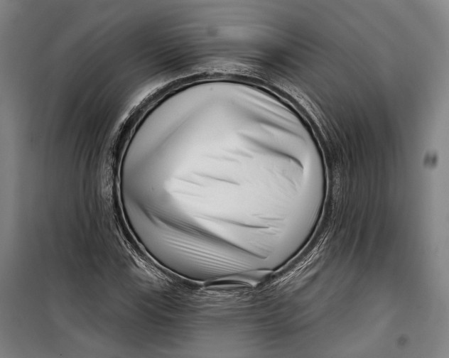 X0000099541115200806061448