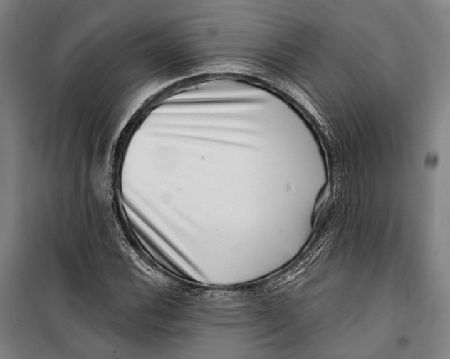 X0000099541116200806061448