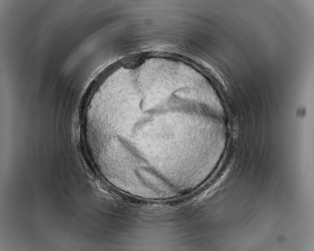 X0000099541117200806061448