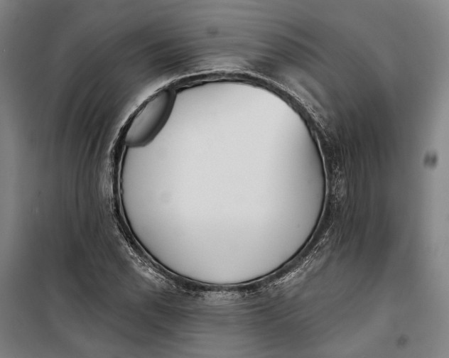 X0000099541118200806061448