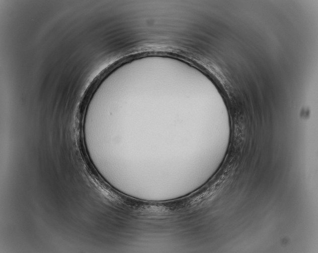 X0000099541119200806061448