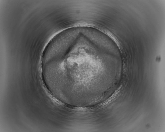 X0000099541124200806061448