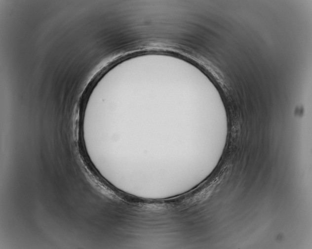 X0000099541126200806061448