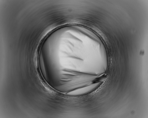 X0000099541127200806061448