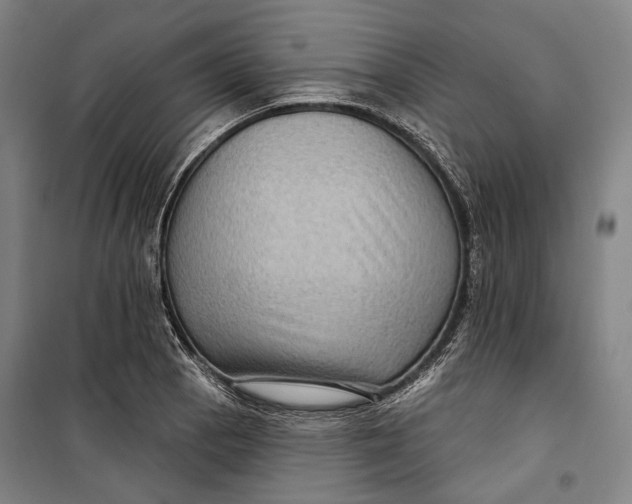 X0000099541129200806061448