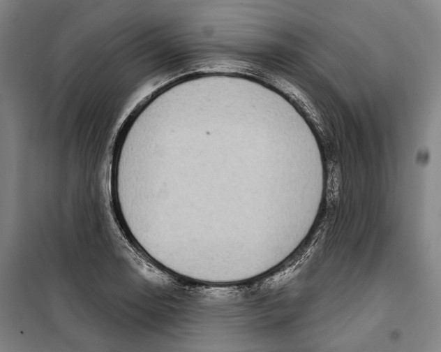 X0000099541130200806061448