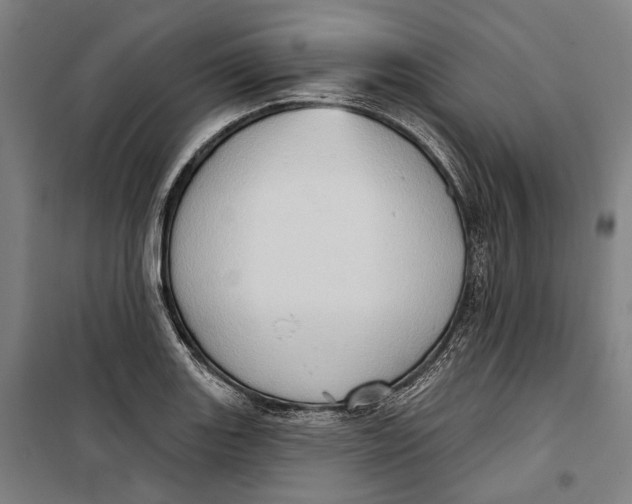 X0000099541131200806061448