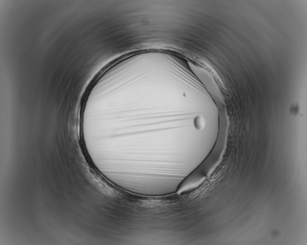 X0000099541132200806061448