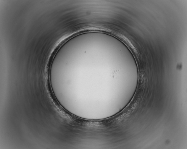 X0000099541133200806061448