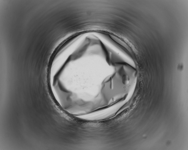 X0000099541134200806061448