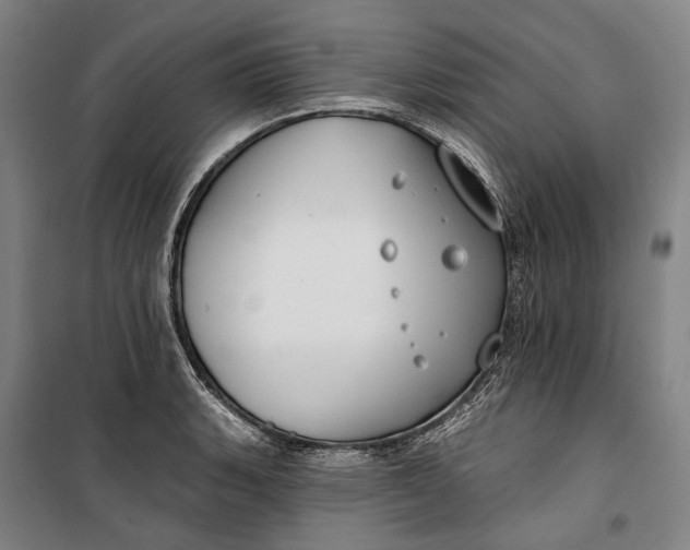 X0000099541135200806061448