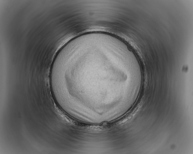 X0000099541137200806061449