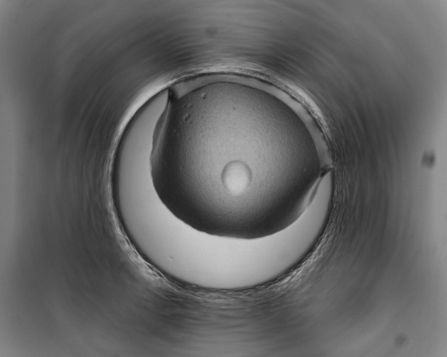 X0000099541138200806061449