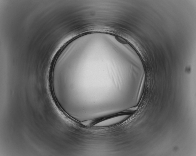 X0000099541139200806061449