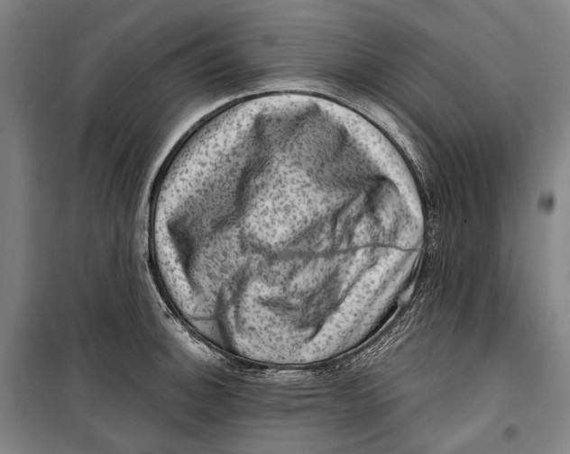 X0000099541140200806061449