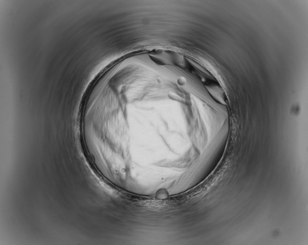 X0000099541141200806061449