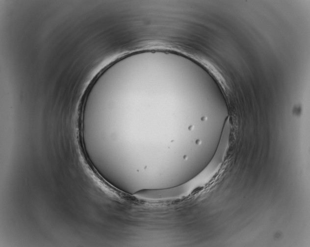 X0000099541142200806061449