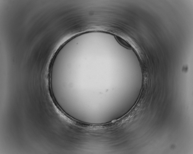 X0000099541143200806061449