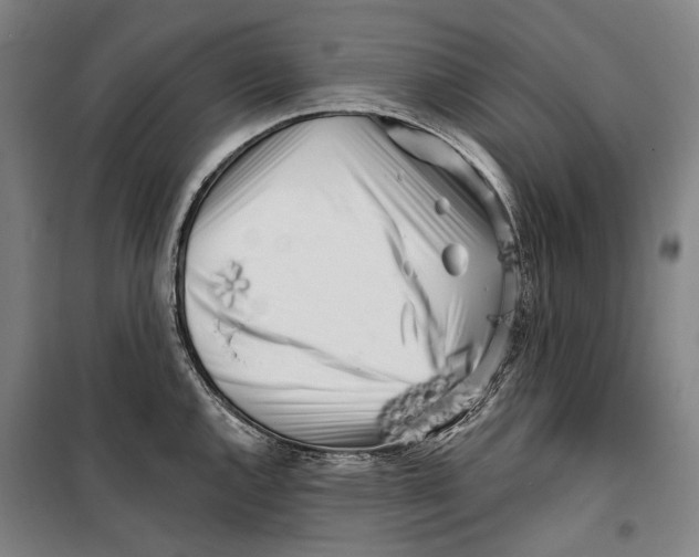 X0000099541144200806061449