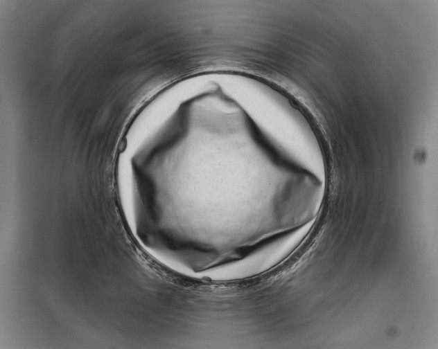 X0000099541145200806061449