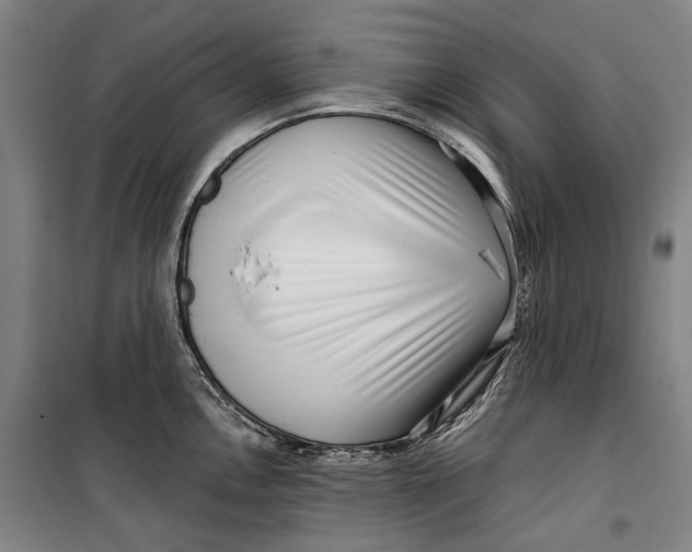 X0000099541146200806061449