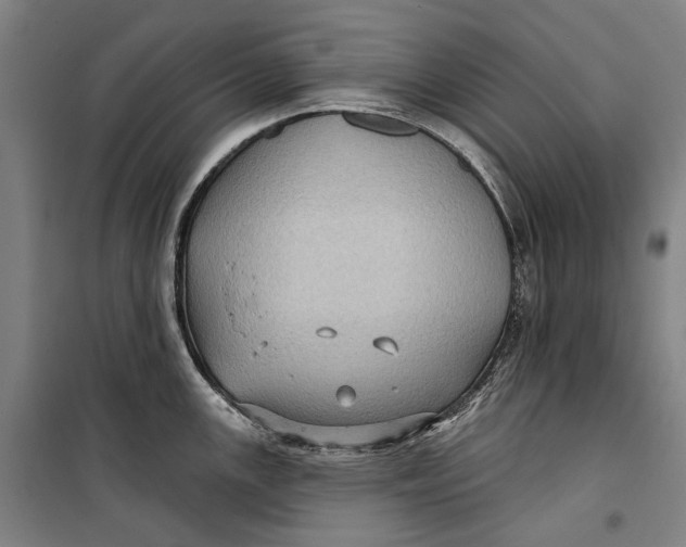 X0000099541147200806061449