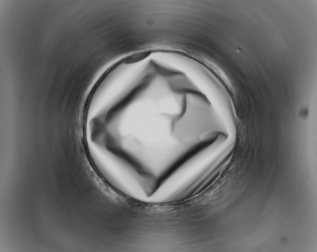 X0000099541148200806061449