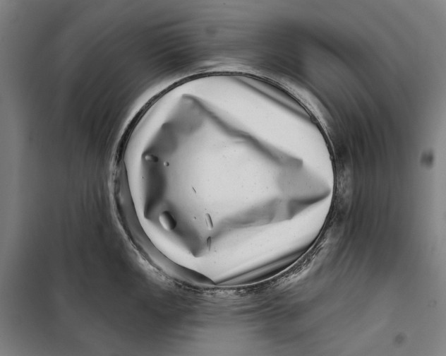 X0000099541149200806061449