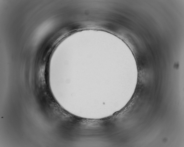 X0000099541150200806061449