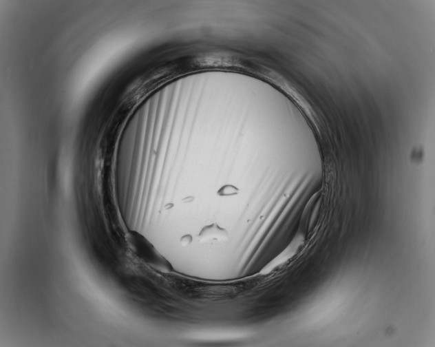 X0000099541151200806061449