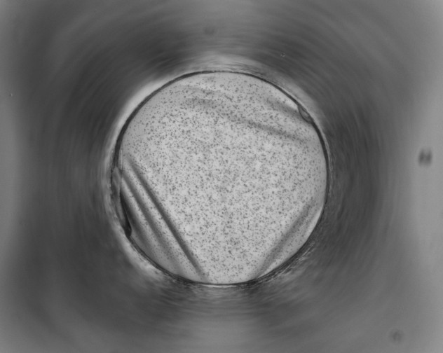 X0000099541152200806061449