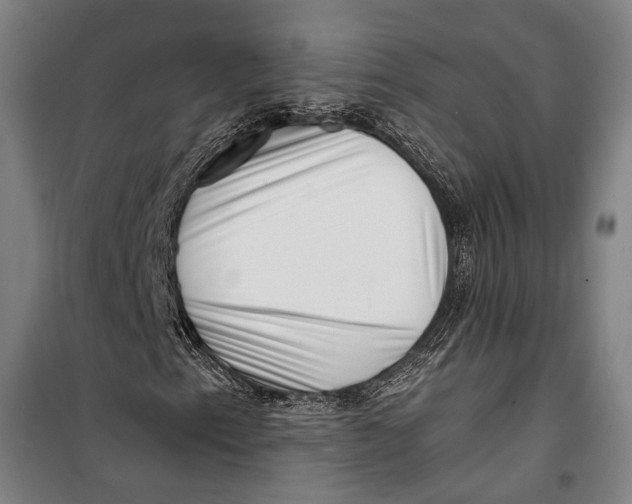 X0000099541153200806061448