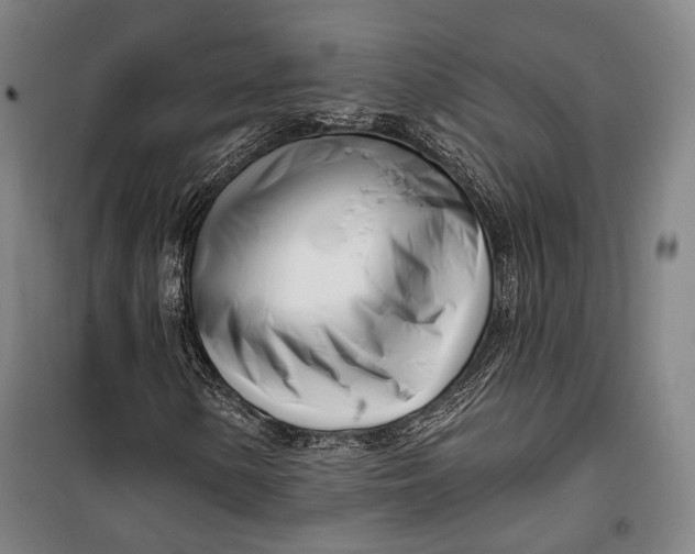 X0000099541154200806061448