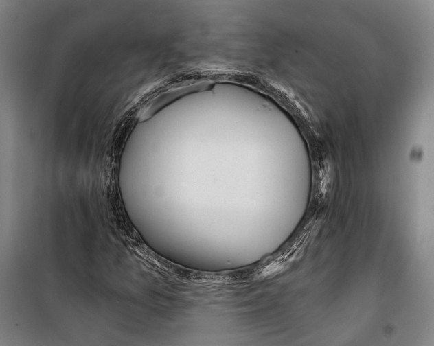 X0000099541157200806061448