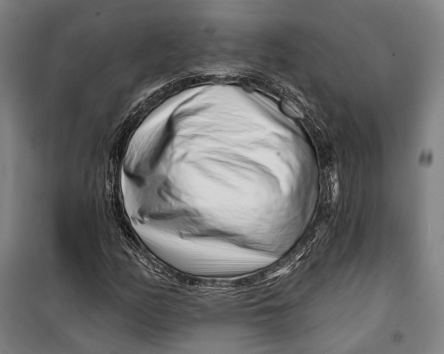 X0000099541158200806061448