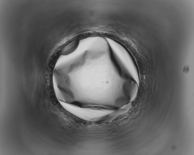 X0000099541159200806061448