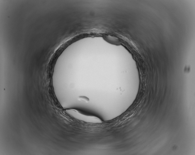 X0000099541160200806061448