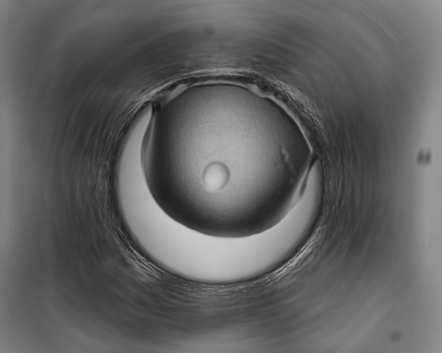 X0000099541161200806061448