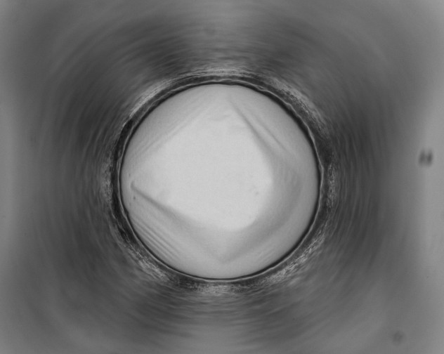 X0000099541162200806061448