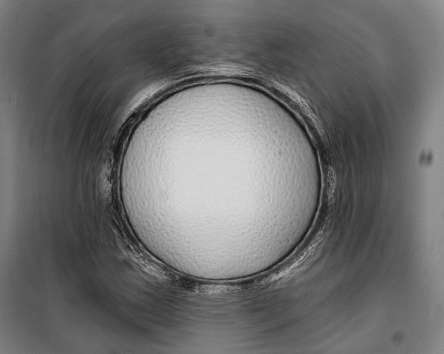 X0000099541163200806061448