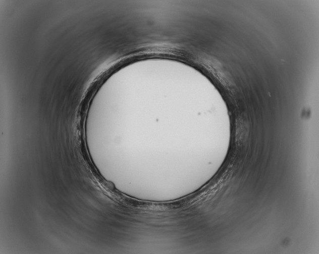 X0000099541164200806061448