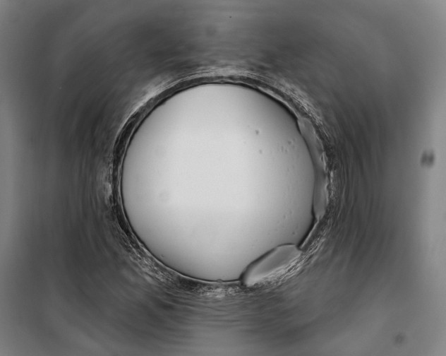 X0000099541165200806061448