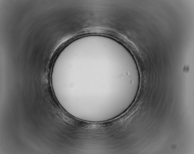 X0000099541166200806061448